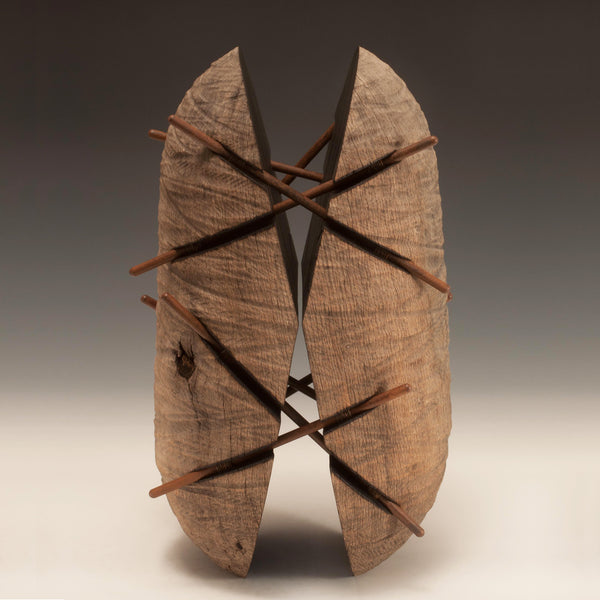 Untitled Suspended Series