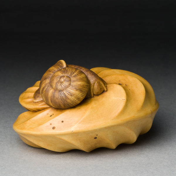Curled Leaf & Snail