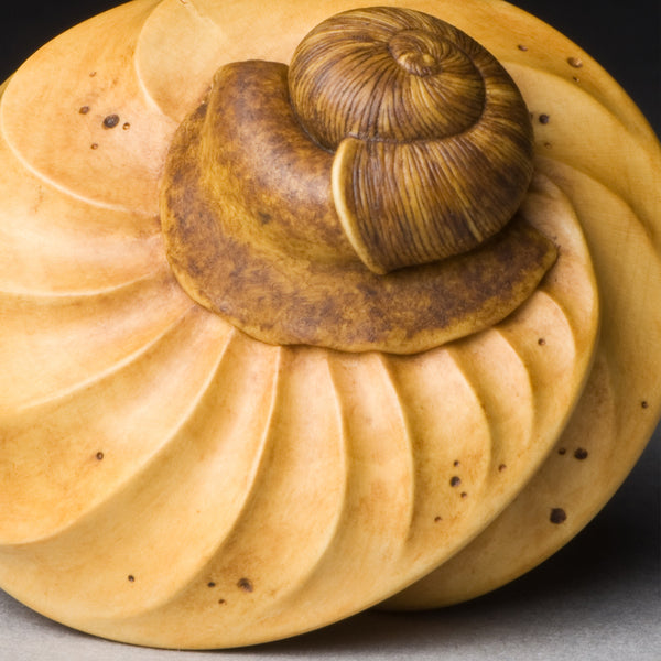 Curled Leaf & Snail
