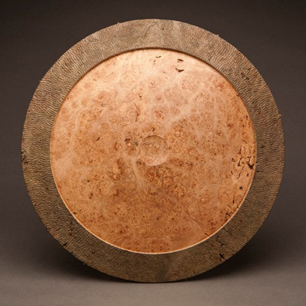 Of Dragons and Darning Needles