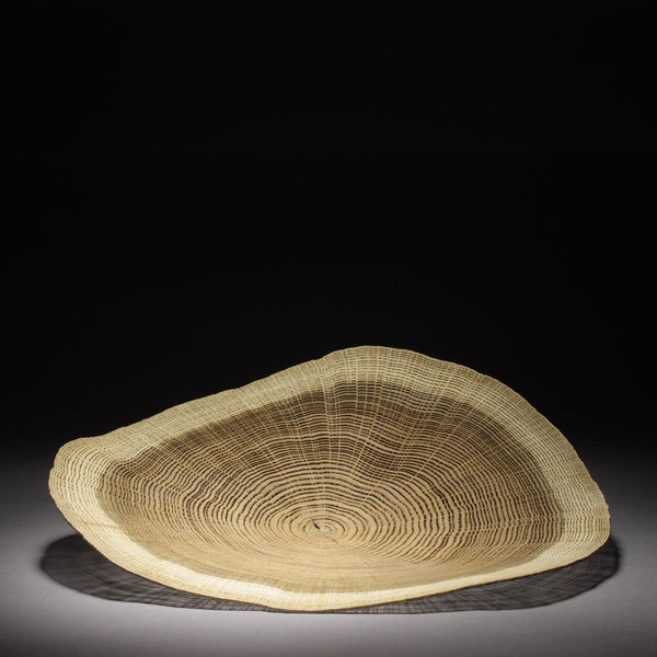 Dendrochronology 553